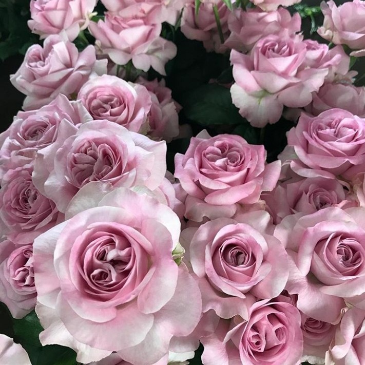 d28da2d31565c5d9ff2d6e629a40743b