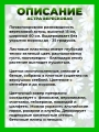 Астра вересковая