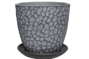 манго серый