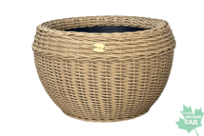 лоза 40л