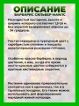 Барбарис оттавский Сильвер Майлс
