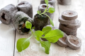 Торфотаблетка 24 мм