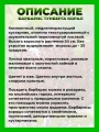 Барбарис Тунберга Корал