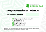 Сертификат 10 000 (интернет-магазин)