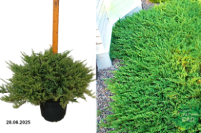 андорра вар